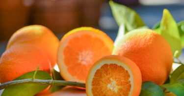 Unleashing Zestful Creativity: Exploring Citrus Delights Beyond Lemon & Orange