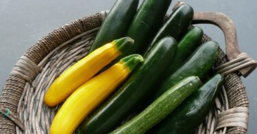 Zucchini: Discover the Wonders Beyond Zoodles