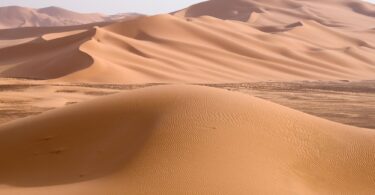Spectacular Sprawling Sahara: An Unveiling of Infinite Sands