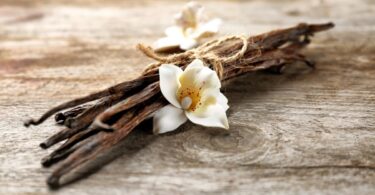 Vanilla’s Varied Virtues: Exploring its Uses Beyond Desserts